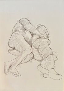 23