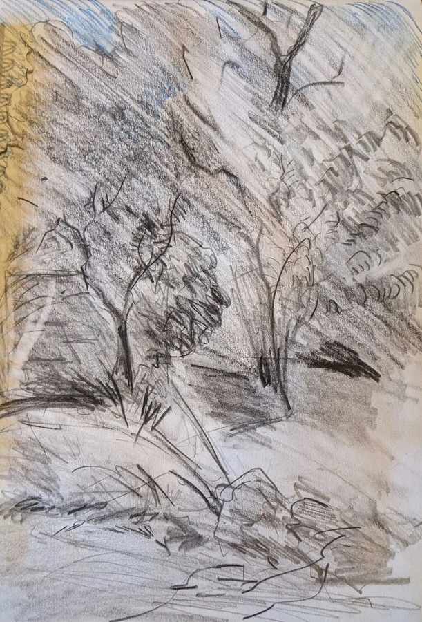 05